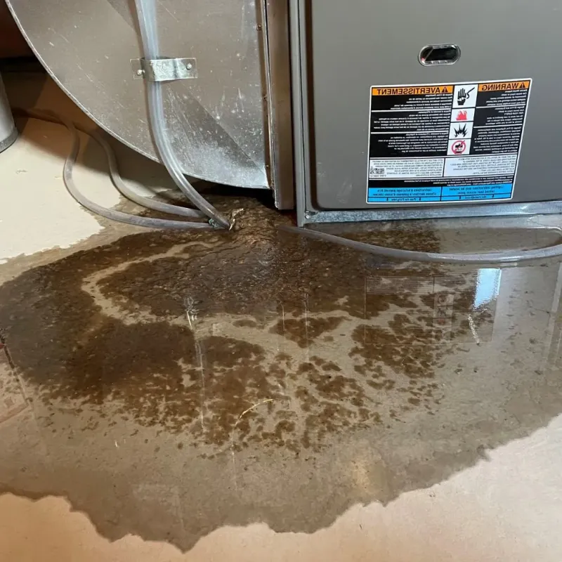 Pipe Burst and Leak Restoration in Lincoln County, CO