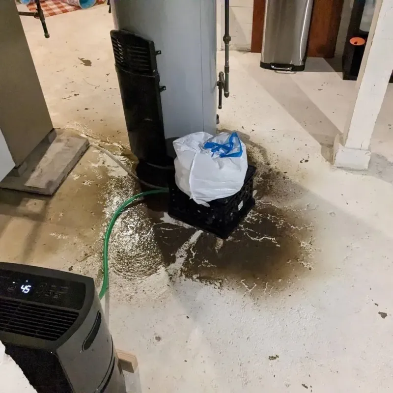 Sewage Backup Cleanup Service in Lincoln County, CO